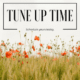 Tune Up Time - Schedule Yours Today