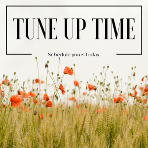 Tune Up Time - Schedule Yours Today