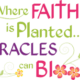 Where Faith is Planted Miracles Can Bloom